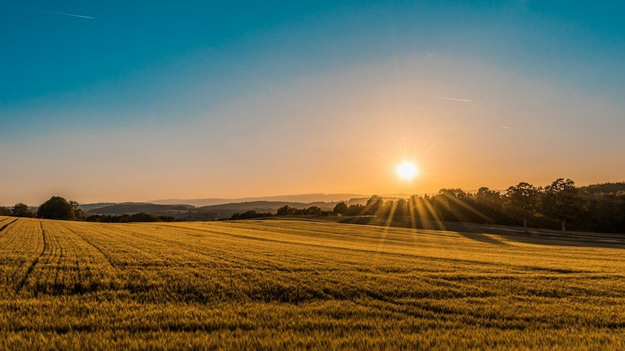 Farmers' Challenges in 2024 and the Way Forward